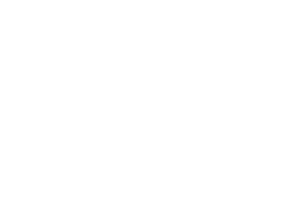 Merisa